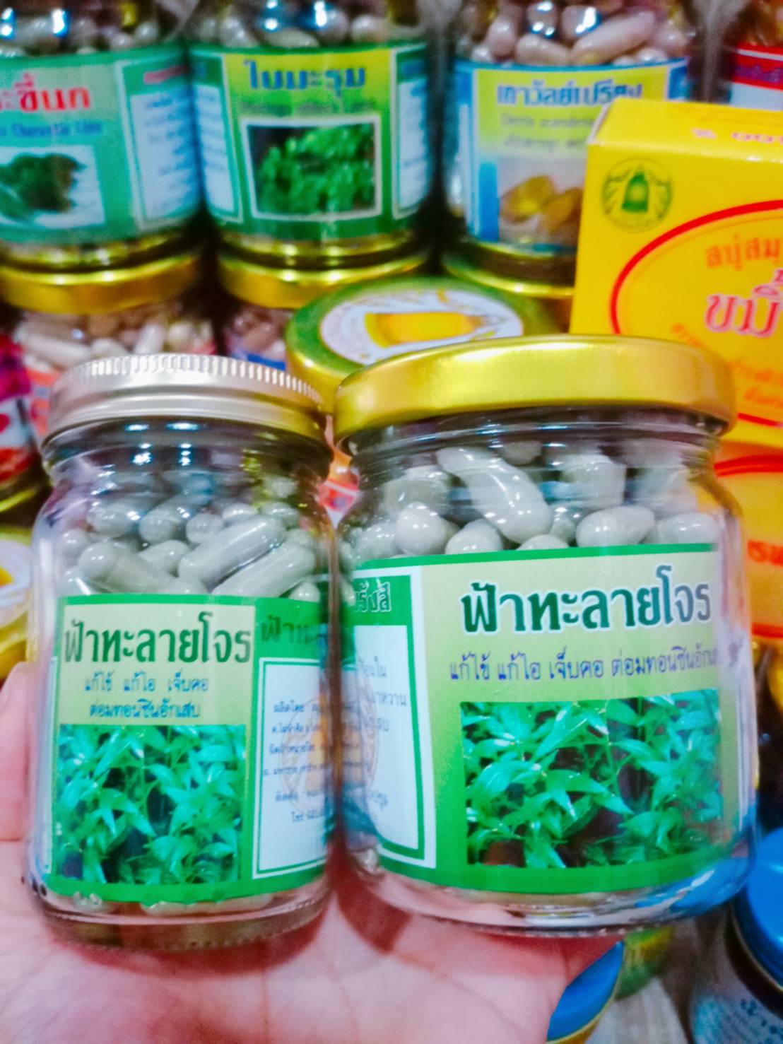 ฟ้าทะลายโจร สมุนไพรพรหมรังสี