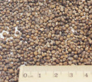 เทียนซ้อน เทียนกุหลาบ คละสี / 50 เม็ด (China)