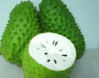 ทุเรียนเทศ (Soursop) / 20 เม็ด (China)