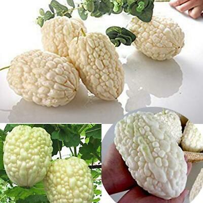 มะระขาวจีน (Chinese White Balsam pear) / 5 เม็ด (China)