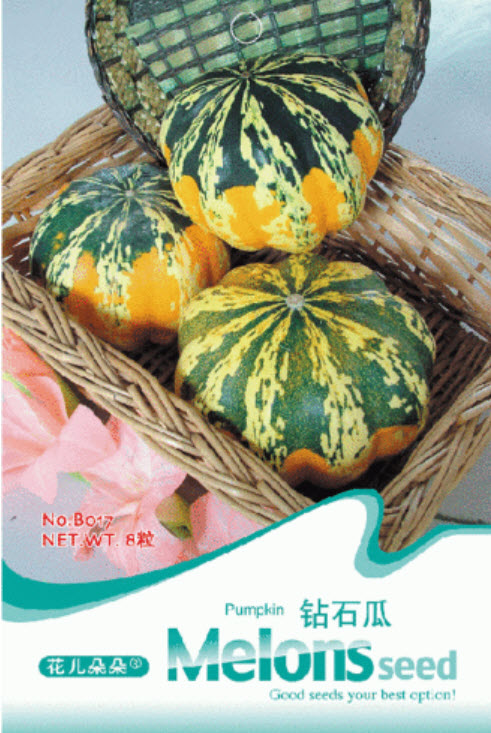 ฟักทอง (Pumpkin) / ซอง 8 เม็ด (B017)