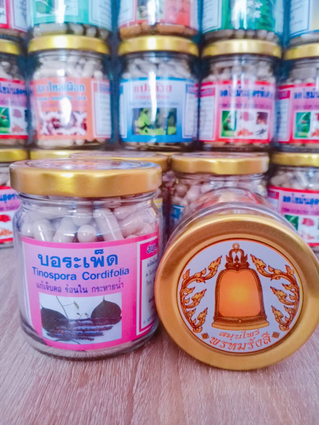 บอระเพ็ด สมุนไพรพรหมรังสี