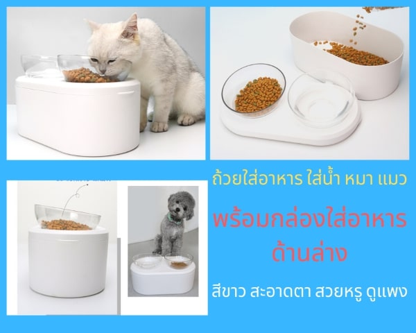 ที่ให้อาหารแมวพร้อมที่เก็บ