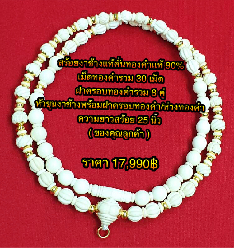 สร้อยงาช้างแท้คั่นทองคำแท้ 90% เม็ดทองคำรวม 30 เม็ด ฝาครอบทองคำรวม 8 คู่ หัวขุนงาช้างพร้อมฝาครอบทองคำ/ห่วงทองคำ ความยาวสร้อย 25 นิ้ว