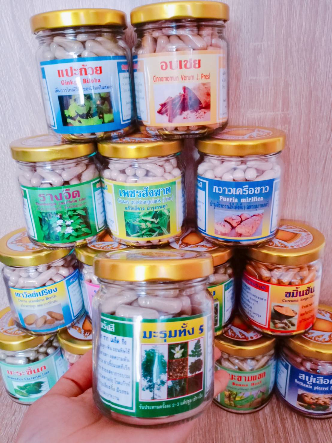 มะรุมทั้ง 5 พรหมรังสี