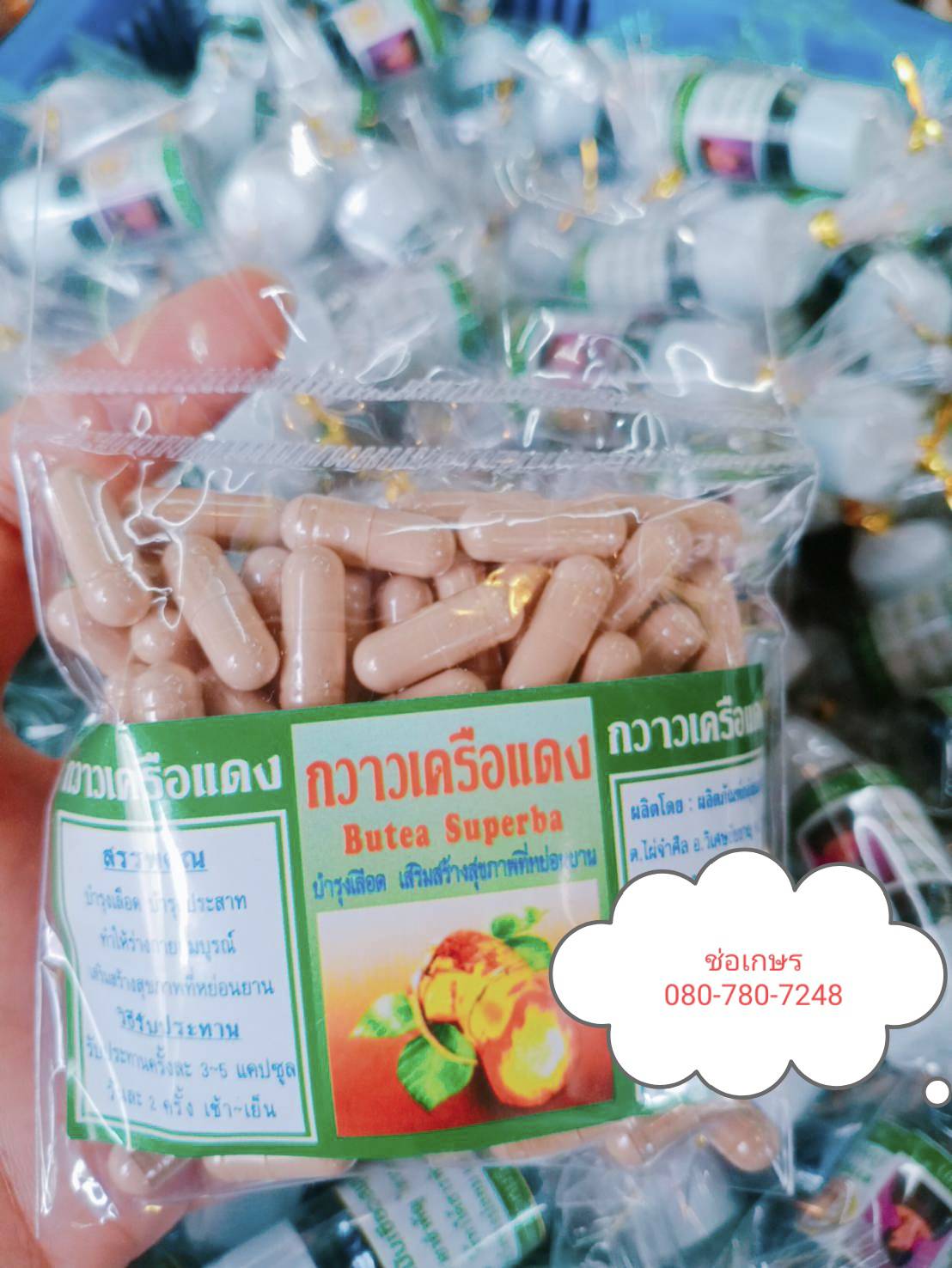กวาวเครือแดง พรหมรังสี