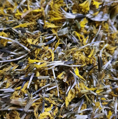 ดาวเรือง สีเหลือง ดอกใหญ่ / 100 เม็ด (P2S)