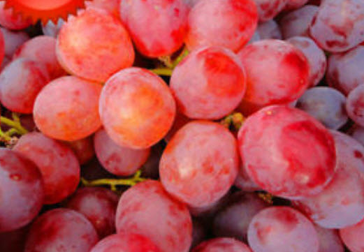 องุ่นกลมแดง หวาน / 50 เม็ด (นอก)