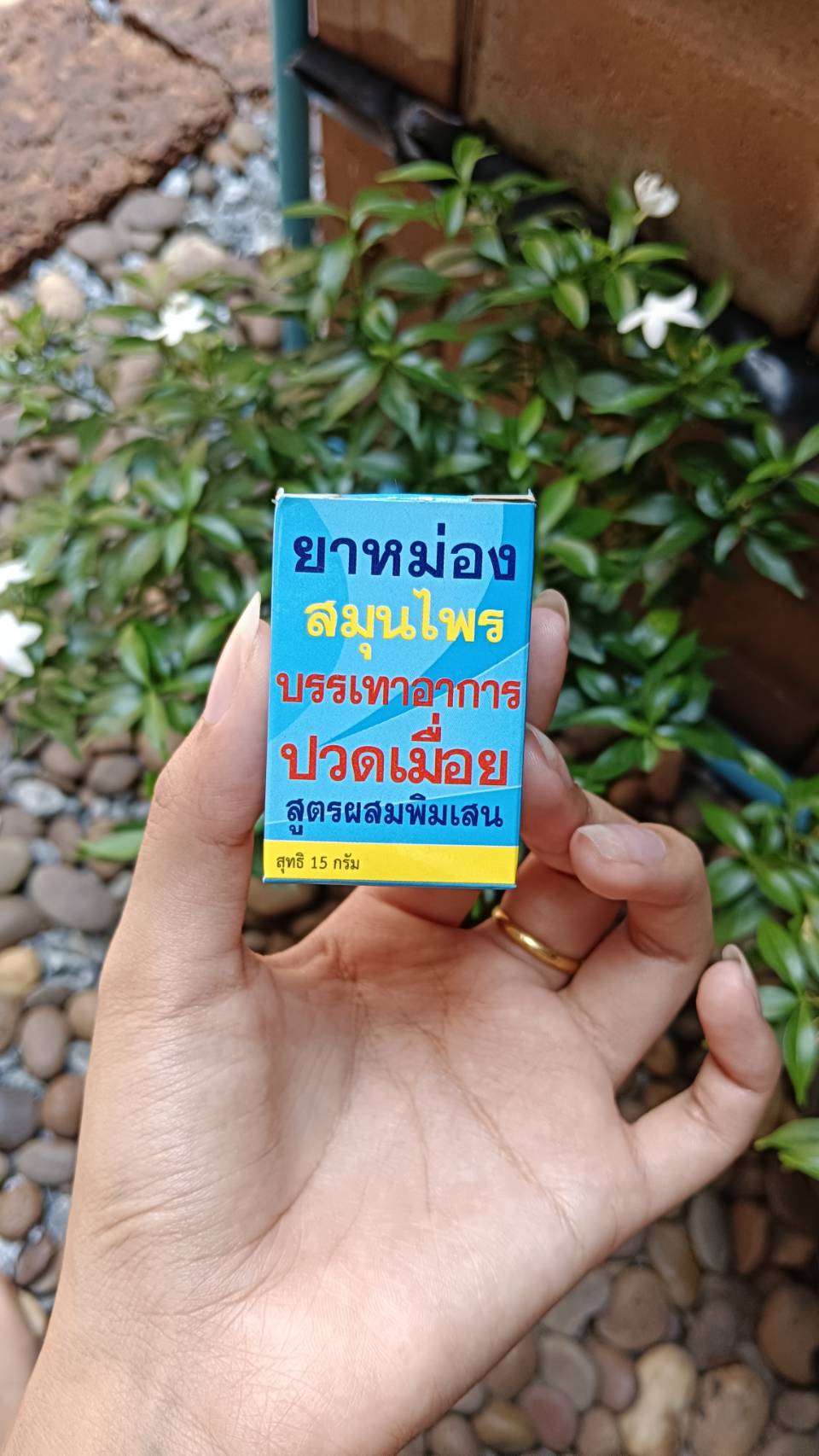 ยาหม่องสมุนไพร หงส์ไทย