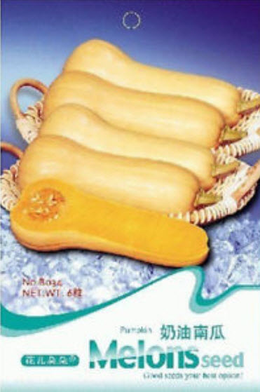 ฟักทอง (Cream pumpkin) / ซอง 8 เม็ด (B034)