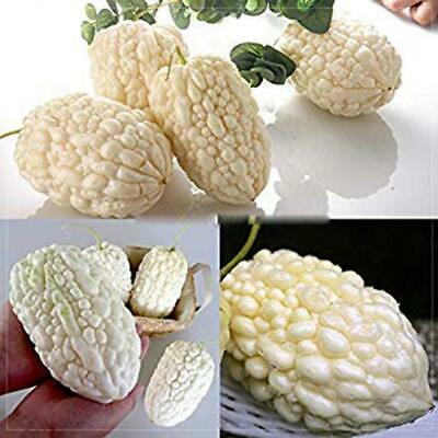 มะระขาวจีน (Chinese White Balsam pear) / 5 เม็ด (China)
