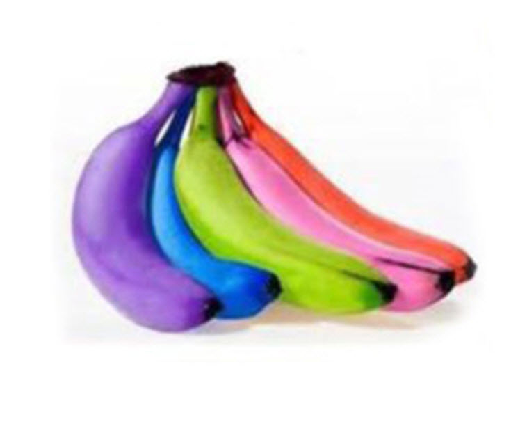 กล้วยแฟนซีบอนไซ / 100 เม็ด