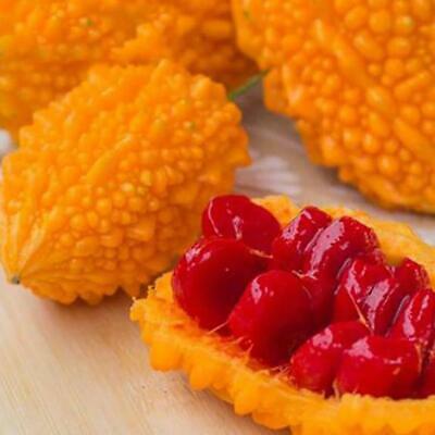 มะระหวาน (Sweet Balsam pear) / 10 เม็ด