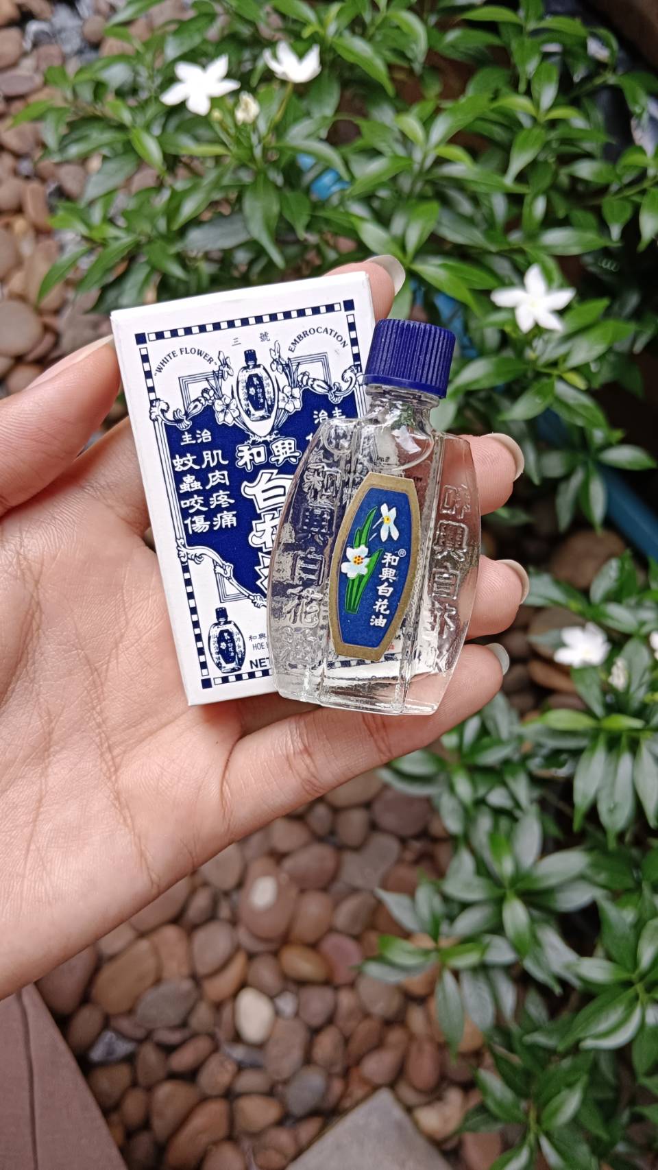 น้ำมันดอกไม้ขาว เเปะฮวยอิ้ว 5 ml