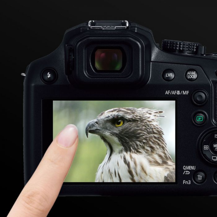 Panasonic LUMIX DC FZ80DGA-K Digital Camera