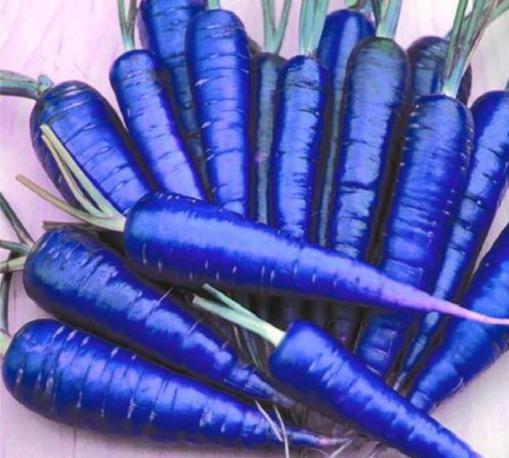 Blue Yellow Carrot แพ็ค 25 เม็ด