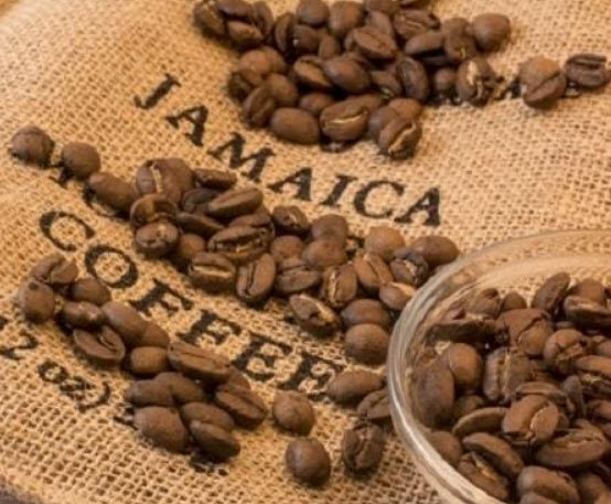 กาแฟ บลู เมาเท่น (Blue Mountain Coffee) / 10 เม็ด