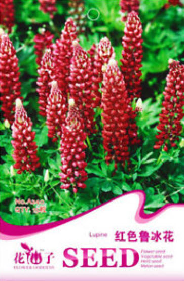 ลูพิน สีแดง (Red Lupine) / ซอง 15 เม็ด (A240)