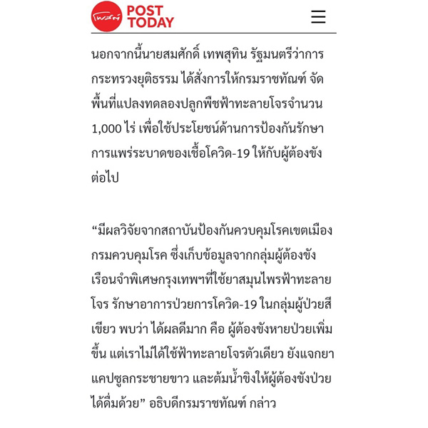 กระชายขาวสกัด 60แคปซูล