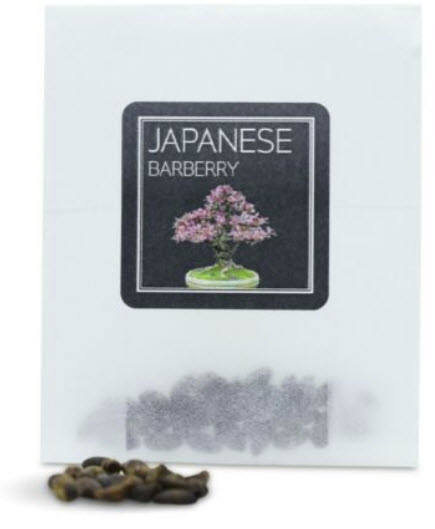 บาร์เบอรี่ญี่ปุ่น (Japanese Barberry) / 10 เม็ด (UK)*