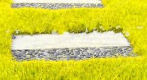 หญ้าฟาง (Fescue grass) สีเหลือง / 500 เม็ด