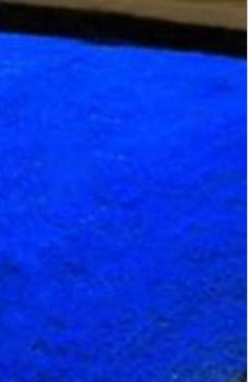 หญ้าฟาง (Fescue grass) สีน้ำเงิน / 500 เม็ด