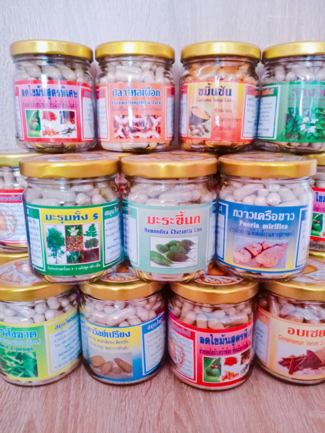 มะระขี้นก พรหมรังสี