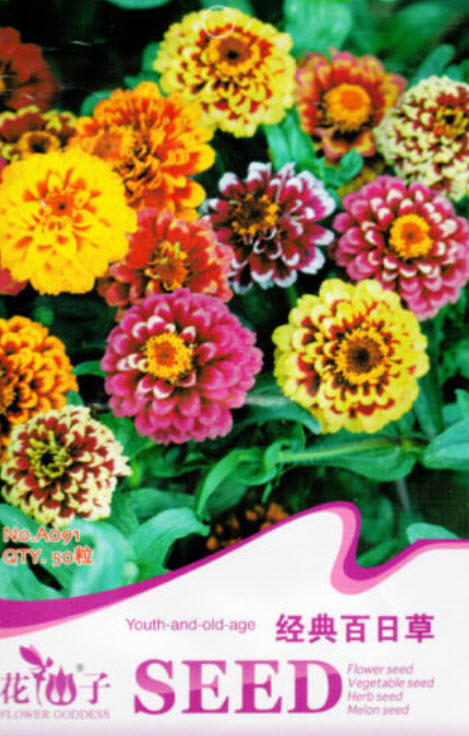 บานชื่น (Youth-and-old Age) คละสี / ซอง 50 เม็ด (A091)