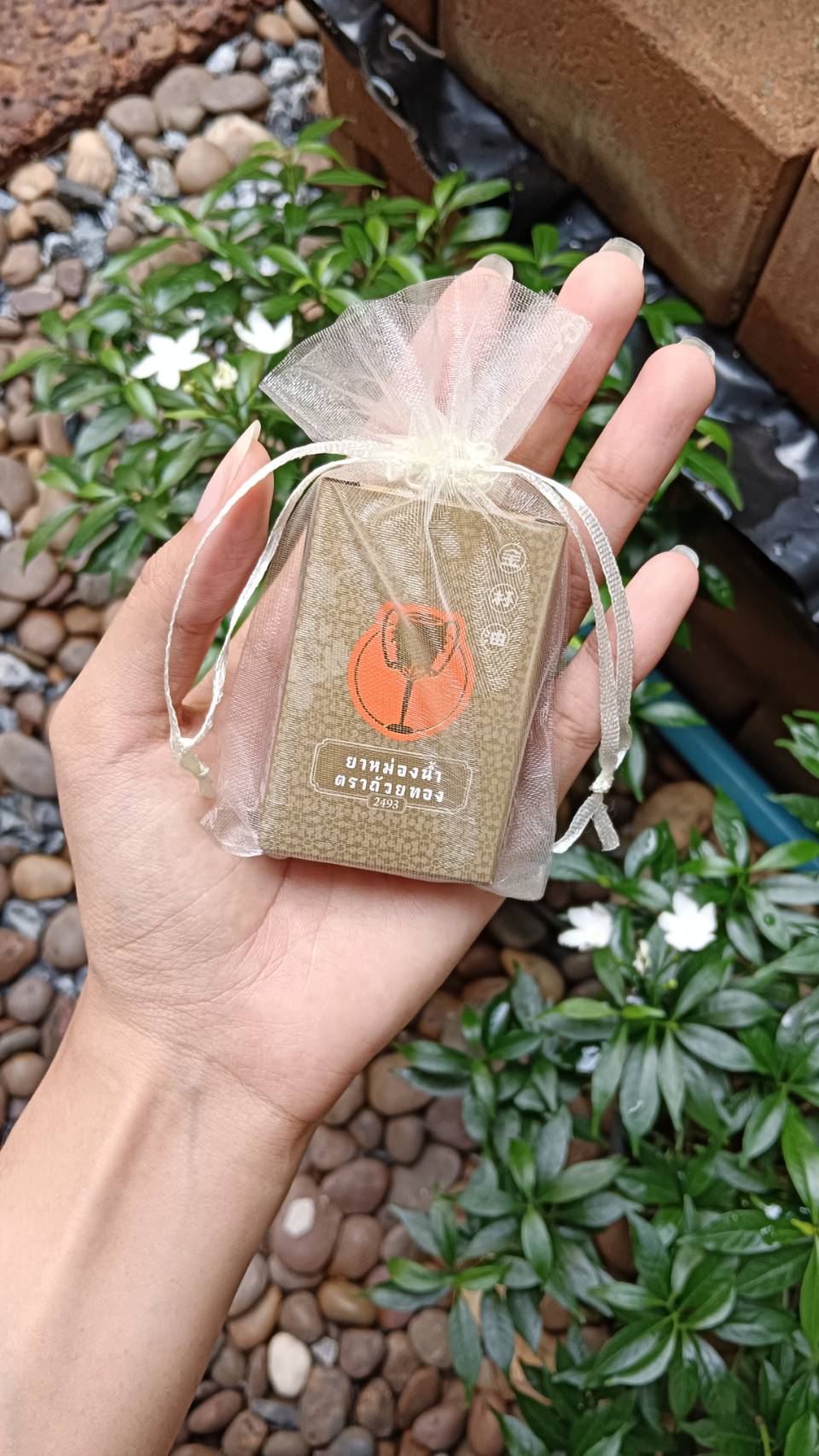 ยาหม่องน้ำ ถ้วยทอง ขนาด3 CC