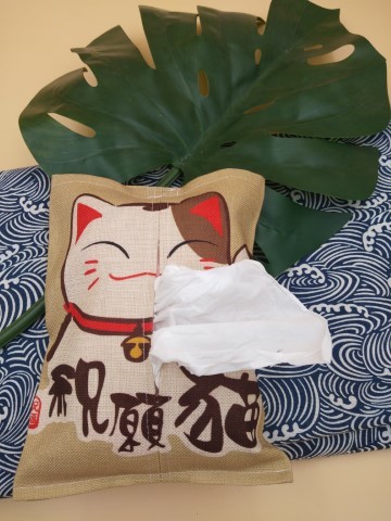 ที่ใส่ทิชชู่รูปแมว