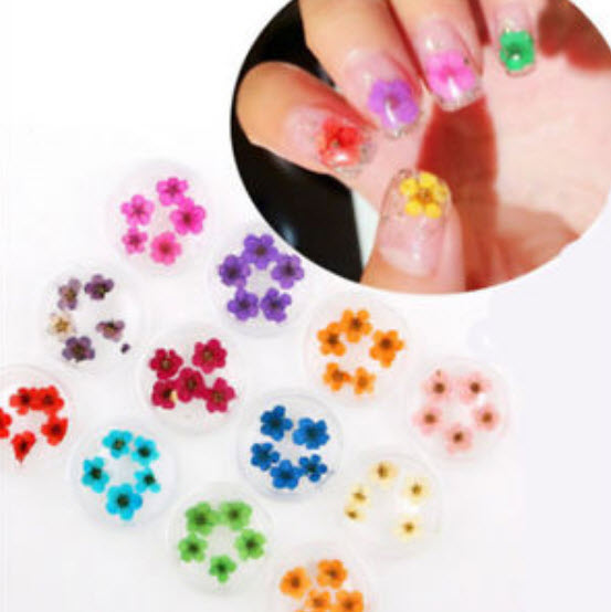 ตลับดอกไม้แห้งจริงแต่งเล็บ 3 มิติ / ตลับ 12 สี (นอก)