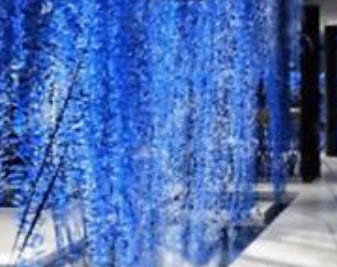 เพิร์ล คลอโรฟีทัม (Pearl Chlorophytum) สีน้ำเงิน / 50 เม็ด