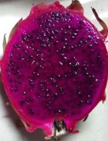 แก้วมังกรม่วง (Purple Pitaya) / 100 เม็ด