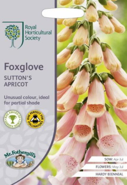 ดิจิทาลิส (Digitalis - Sutton's Apricot) / 2,500 เม็ด (UK)