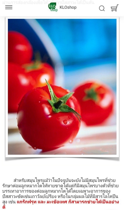 Khaolaor ขาวละออ แก๊กโคปีน ผงฟักข้าวผสมสารสกัดจากมะเขือเทศ 60 แคปซูล/ขวด ต่อมลูกหมากโต ผิวพรรณ