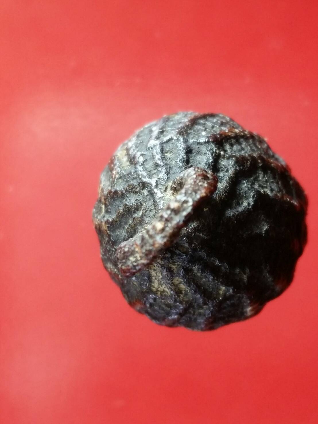 หมากทุยไม่ทราบคณาจารย์