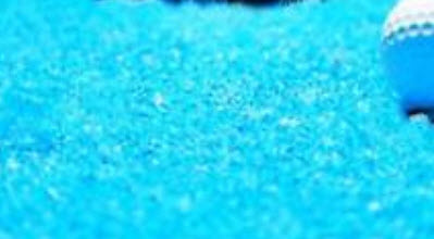 หญ้าฟาง (Fescue grass) พันธุ์เตี้ย สีฟ้าอ่อน / 500 เม็ด