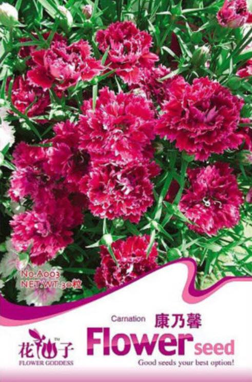 คาร์เนชั่นแดง-ชมพู (Red Carnation) / ซอง 30 เม็ด (A003)