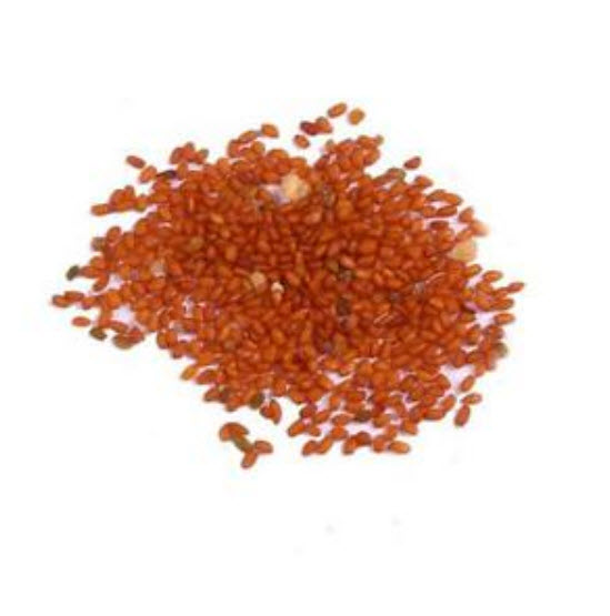 เมล็ดกุหลาบหิน (Kalanchoe) สีแดง "Setting Sun" / 100 เม็ด (นอก)