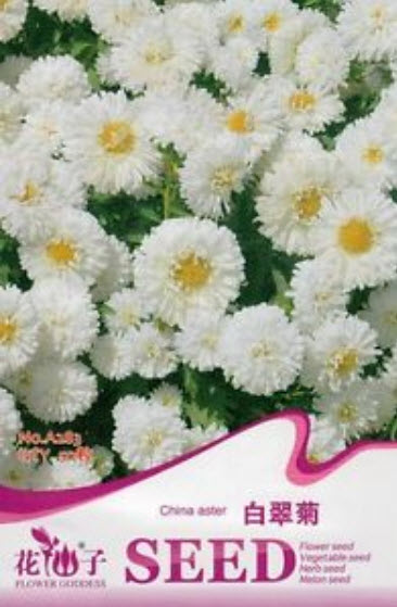 แอสเตอร์ (Aster) สีขาว / ซอง 50 เม็ด (A283)