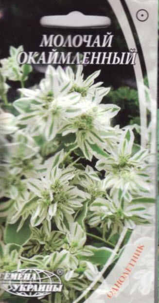 ยูฟอร์เบีย มาร์จินาต้า (Euphorbia Marginata) / ซอง 20 เม็ด (Ukraine)