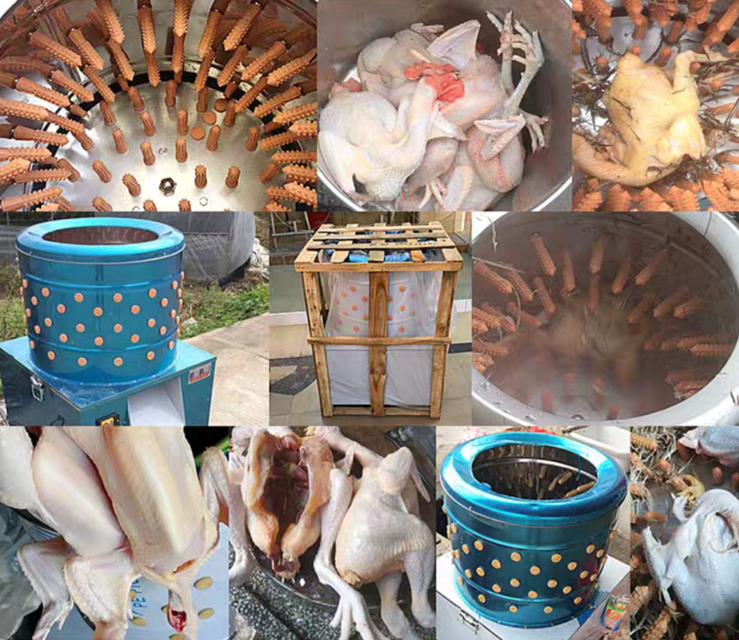 เครื่องถอนขนไก่ เครื่องถอนขนเป็ด