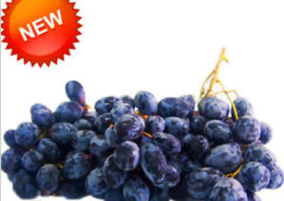 องุ่นดำเคียวโฮ (Kyoho Grape) ไร้เมล็ด / 100 เม็ด