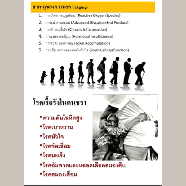 ออโคซิน OCOXIN อาหารเสริมกรดอะมิโน วิตามิน และแร่ธาตุ เพื่อต้านอนุมูลอิสระ สำหรับเสริมหรือประกอบการรักษา