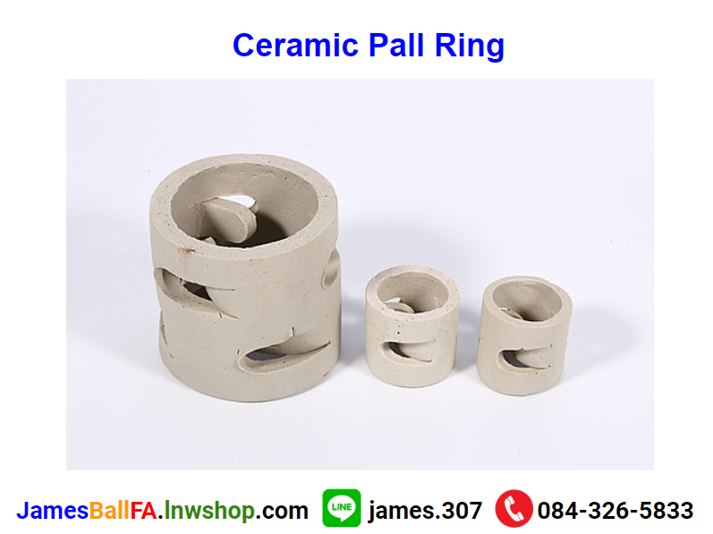 Ceramic Pall Ring แหวนโลหะแหวนพอล