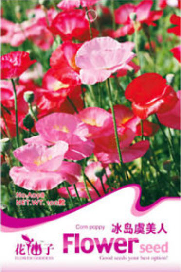 คอร์น ป๊อปปี้ (Corn Poppy) สีชมพู-แดง / ซอง 100 เม็ด