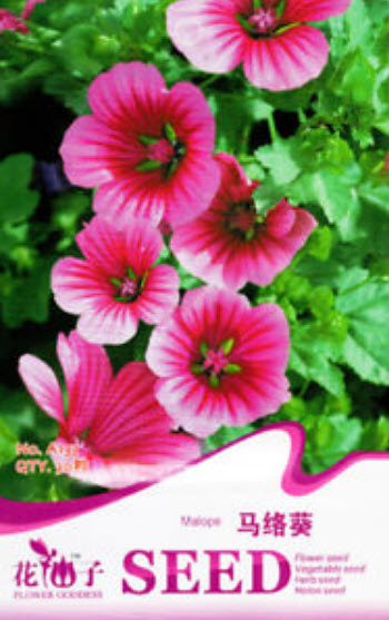 มาโลปชมพู (Pink Malope) / ซอง 30 เม็ด (A133)