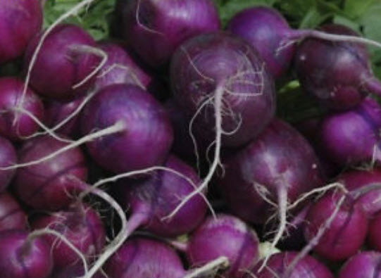 ไชเท้า เชอรี่ เบลล์ (Cherry Belle) คละ / 200 เม็ด (นอก)