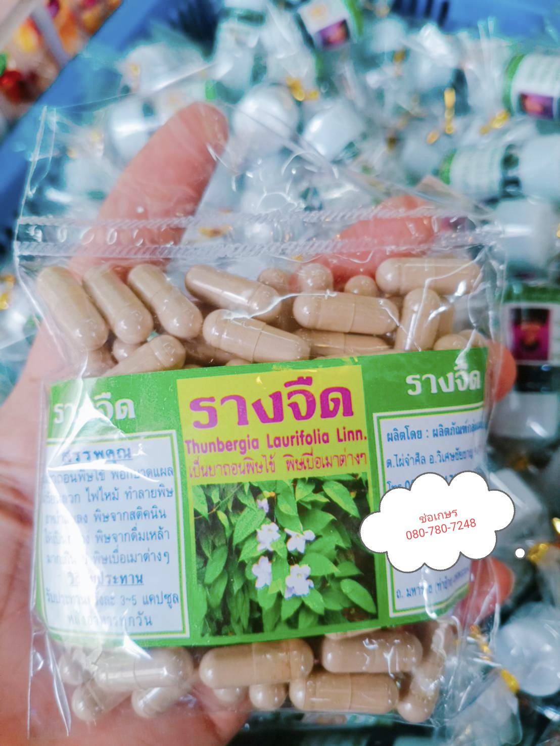รางจืด พรหมรังสี