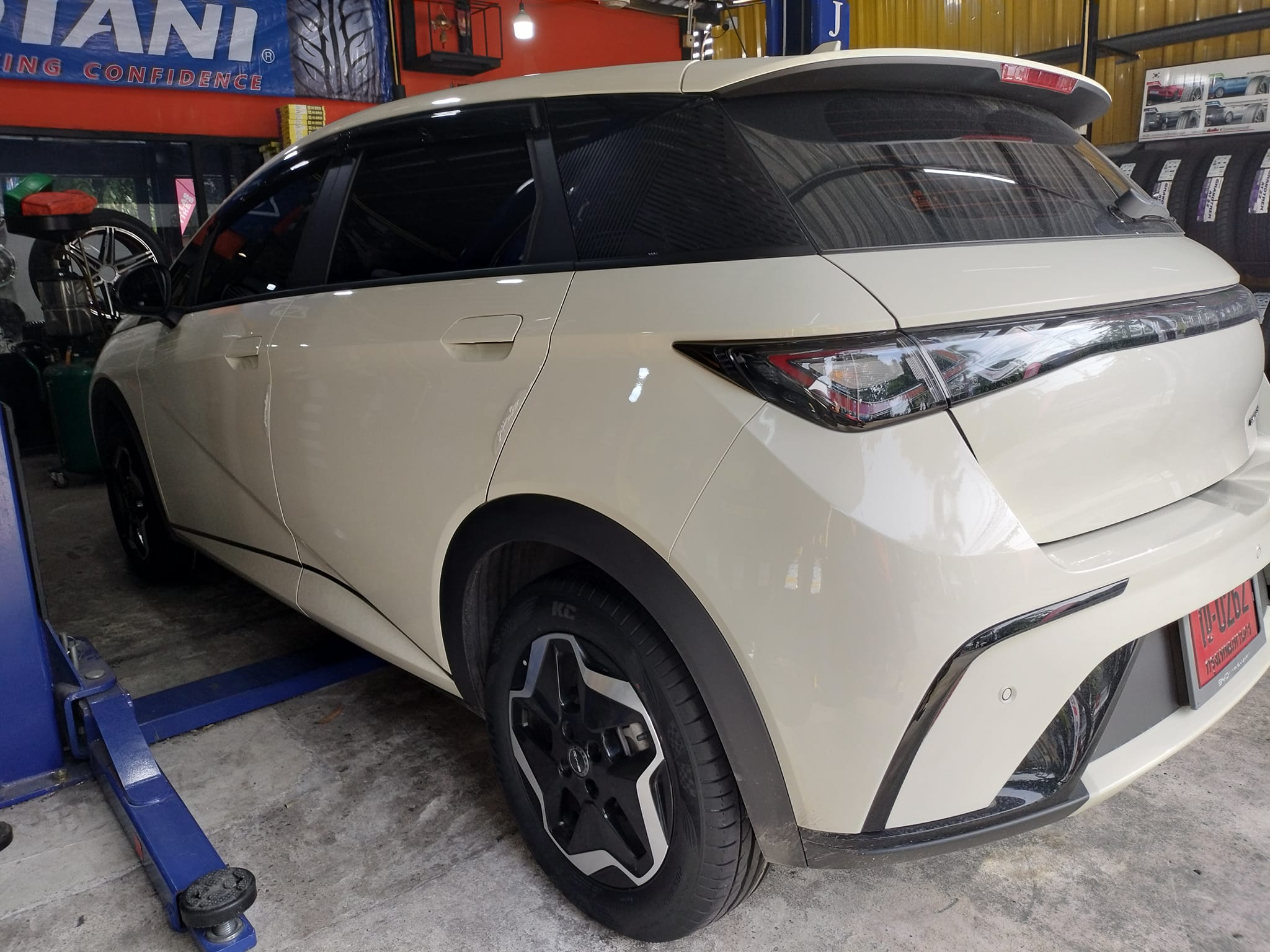 #BYD_DOLPHIN #OTANI_KC2000_205/60R16